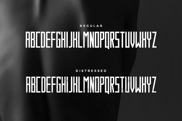 Behemoth Typeface in Fonts - product preview 1