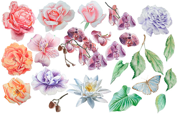 Watercolor flowers. in Objects - product preview 1