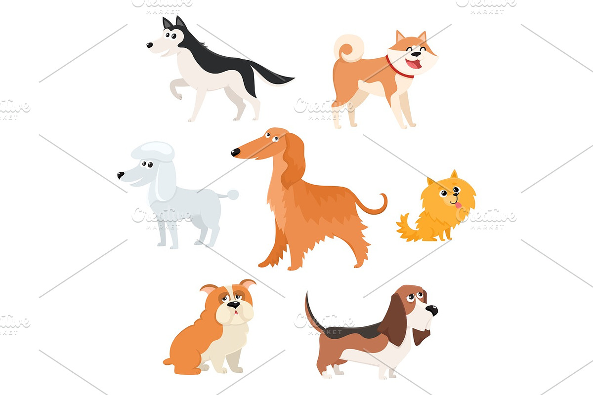 Cute dog characters of various breeds, big and small in Illustrations - product preview 8
