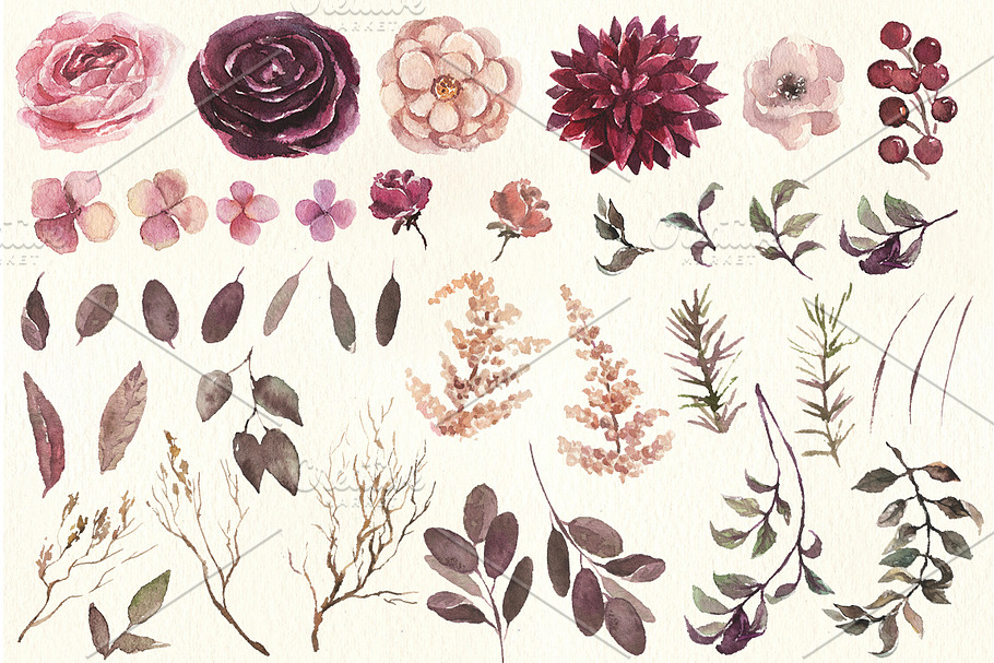 70%OFF Burgundy & Cream Floral Pack in Illustrations - product preview 8