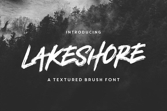 Lakeshore Brush Font in Brush Fonts - product preview 7