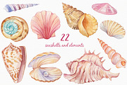 SALE! Watercolor Seashells