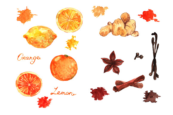 Watercolor citrus&spice in Illustrations - product preview 1