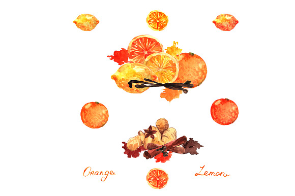 Watercolor citrus&spice in Illustrations - product preview 2