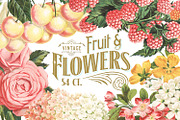 MASSIVE Vintage Fruit and Flowers