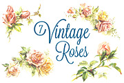 7 Vintage Roses