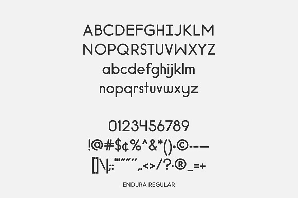 Endura Font in Professional Fonts - product preview 2