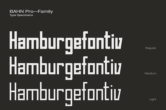 Bahn Pro FAMILY in Display Fonts - product preview 1