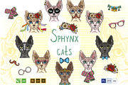 Sphynx Cats set
