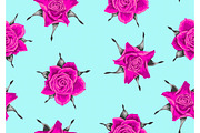 Seamless pattern with pink roses. Beautiful decorative flowers