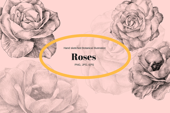 Hand Sketched Roses in Objects - product preview 3
