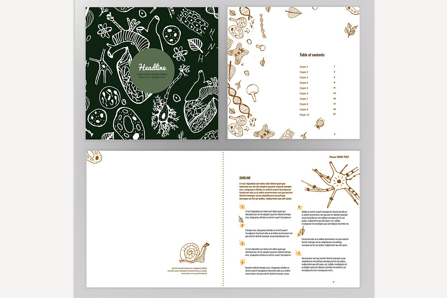 Biology Brochure Design in Illustrations - product preview 8