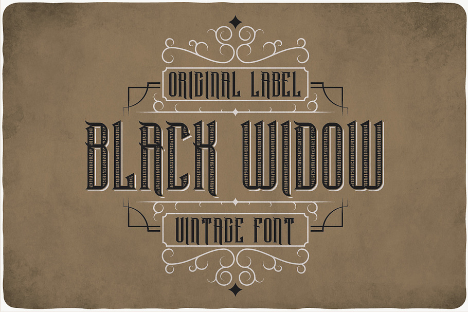 Black Widow Typeface in Display Fonts - product preview 8