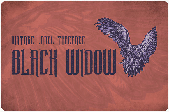 Black Widow Typeface in Display Fonts - product preview 4
