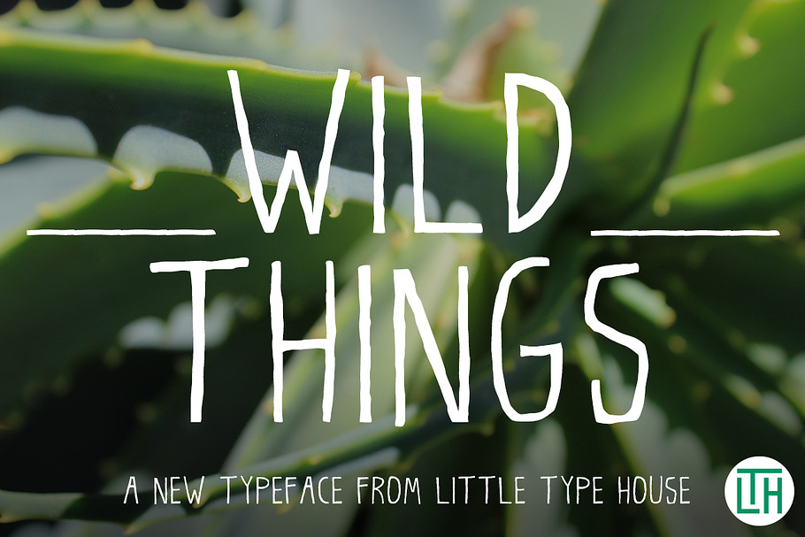 Wild Things in Display Fonts - product preview 8