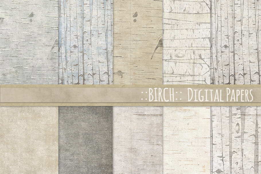 Birch Wood Background Paper in Patterns - product preview 8