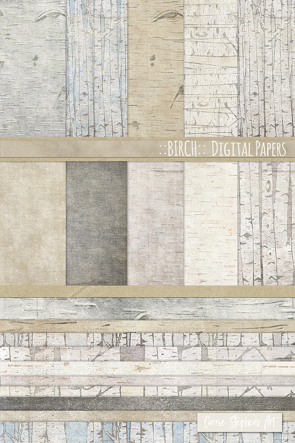 Birch Wood Background Paper in Patterns - product preview 1