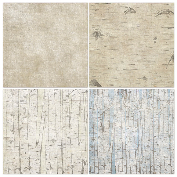 Birch Wood Background Paper in Patterns - product preview 4
