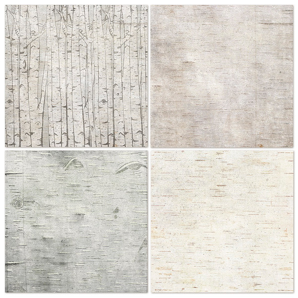 Birch Wood Background Paper in Patterns - product preview 5