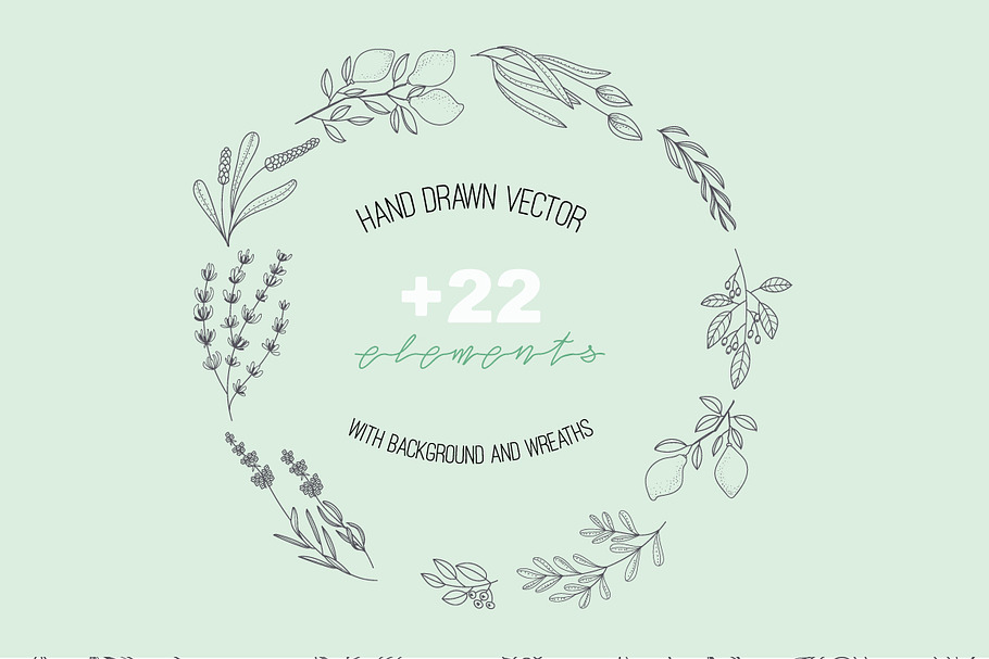 HAND DRAWN NATURAL HERB&LEAF VECTOR in Script Fonts - product preview 8