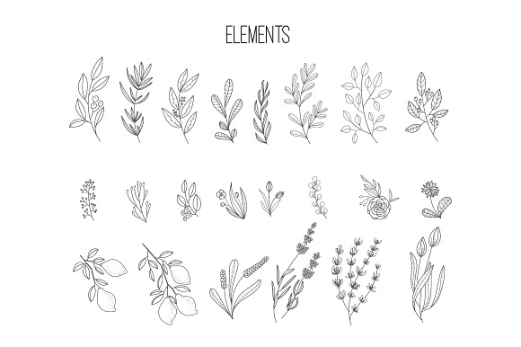 HAND DRAWN NATURAL HERB&LEAF VECTOR in Script Fonts - product preview 2