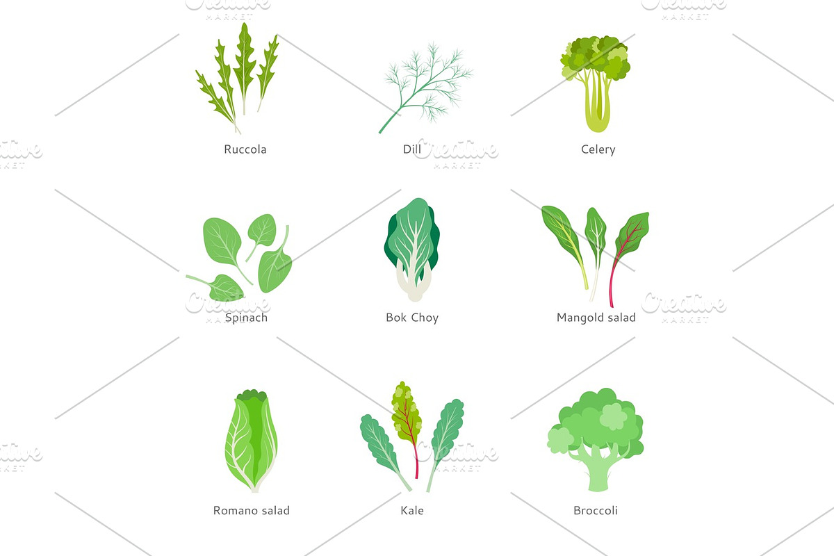 Healthy ingredients for vegetable salad. in Illustrations - product preview 8