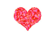 Heart shape of red petals vector