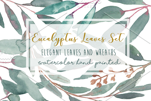 Elegant Watercolor Eucalyptus Leaves in Illustrations - product preview 6