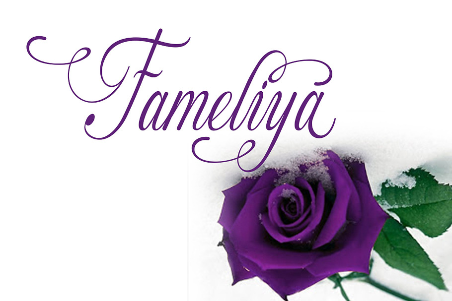 Fameliya in Script Fonts - product preview 8
