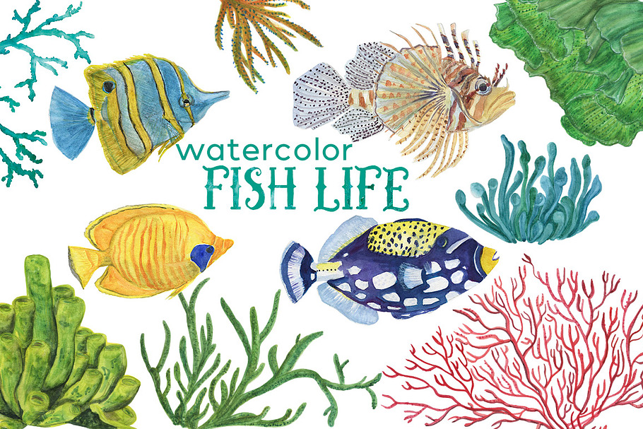 Fish life - watercolor clipart in Illustrations - product preview 8