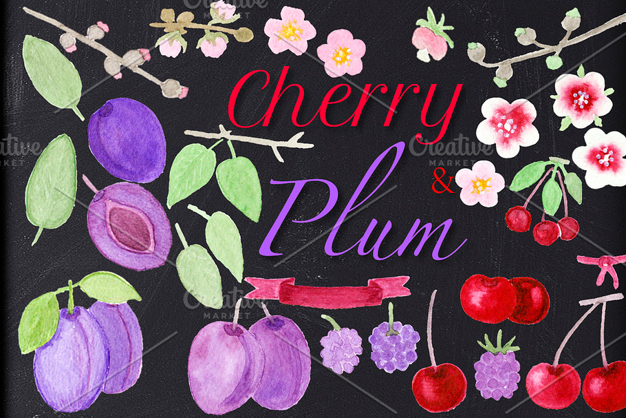 CHERRY & PLUM set clipart, patterns in Illustrations - product preview 8