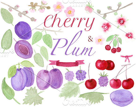 CHERRY & PLUM set clipart, patterns in Illustrations - product preview 1