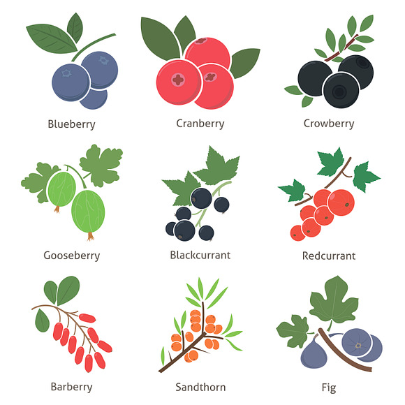 Fruit and berries in Objects - product preview 2