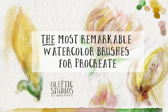 Best Watercolor Brushes — Procreate in Photoshop Brushes - product preview 4