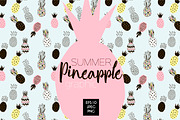 Decorative pineapple graphic