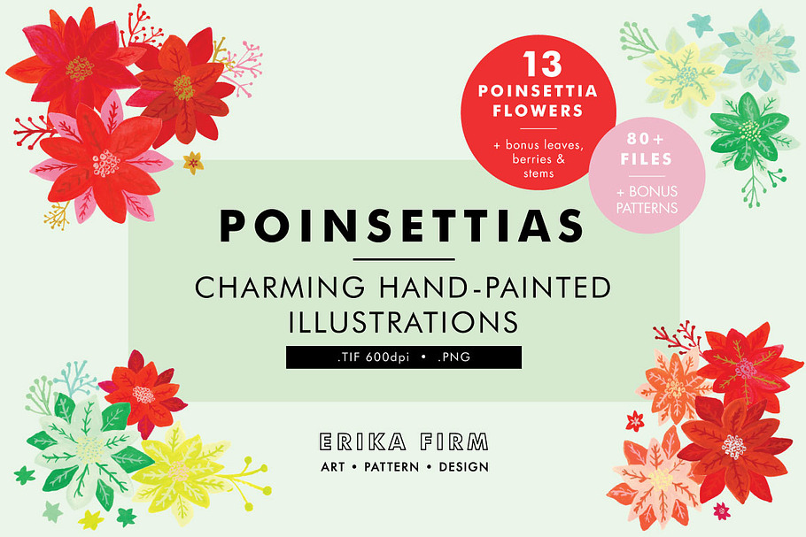 Poinsettia Illustrations