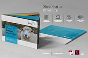 Sheep Farm Brochure A5