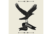 Background with black flying raven. Hand drawn inky bird and ribbon