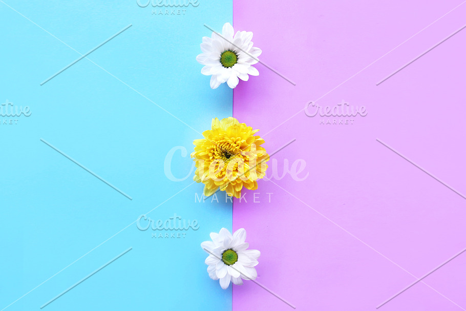 Flat Lay flower composition