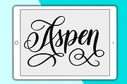 Aspen Procreate lettering brush