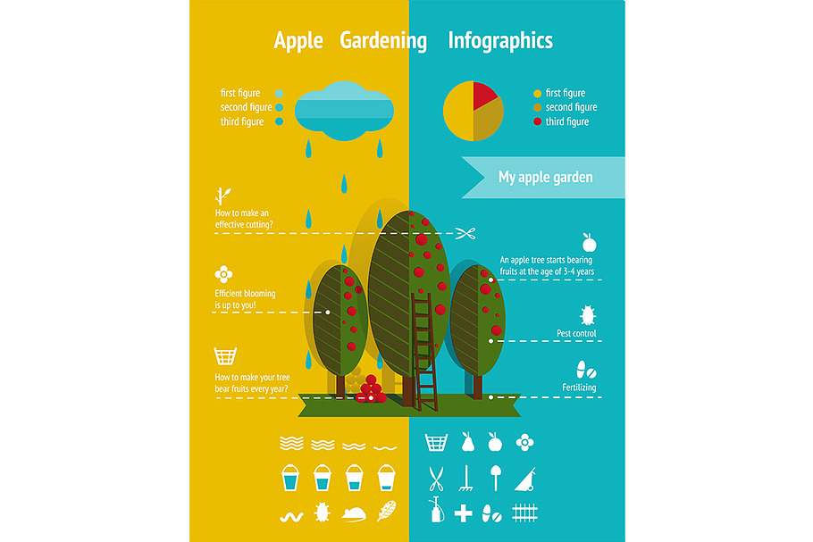 Apple Garden Infographics Elements in Graphics - product preview 8