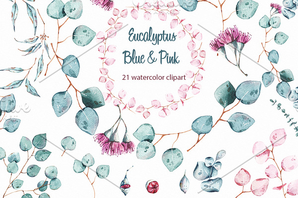 Eucalyptus watercolor clipart
