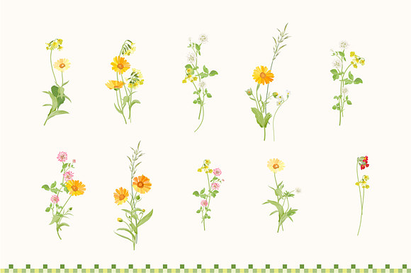 192 Wildflowers clip art. in Objects - product preview 6