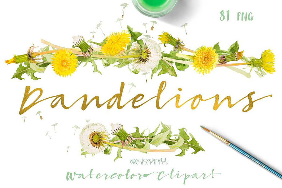 Dandelions-clipart set watercolor
