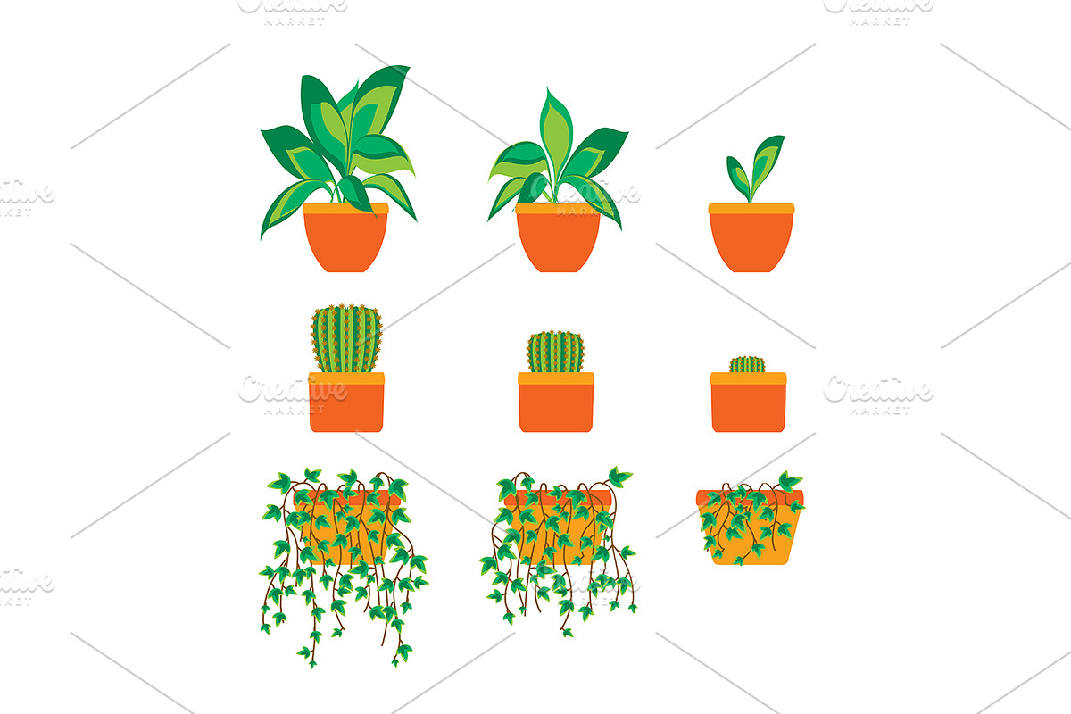 Green Plants in Pot Set. Vector in Objects - product preview 8