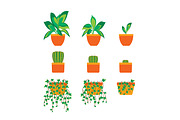 Green Plants in Pot Set. Vector