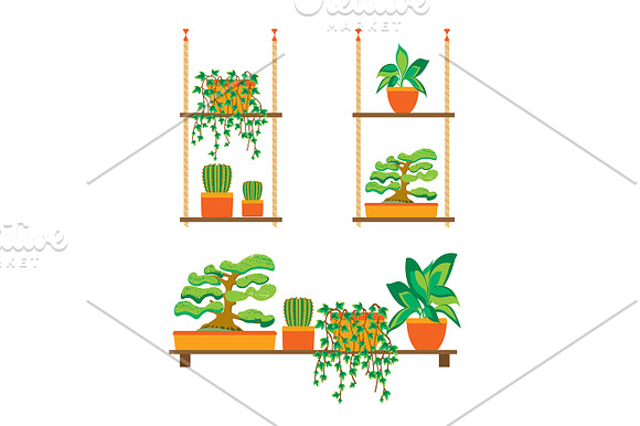 Green Plants in Pot Set. Vector in Objects - product preview 1