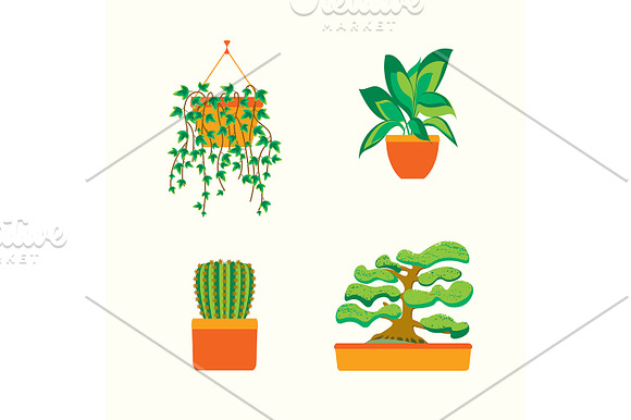 Green Plants in Pot Set. Vector in Objects - product preview 2