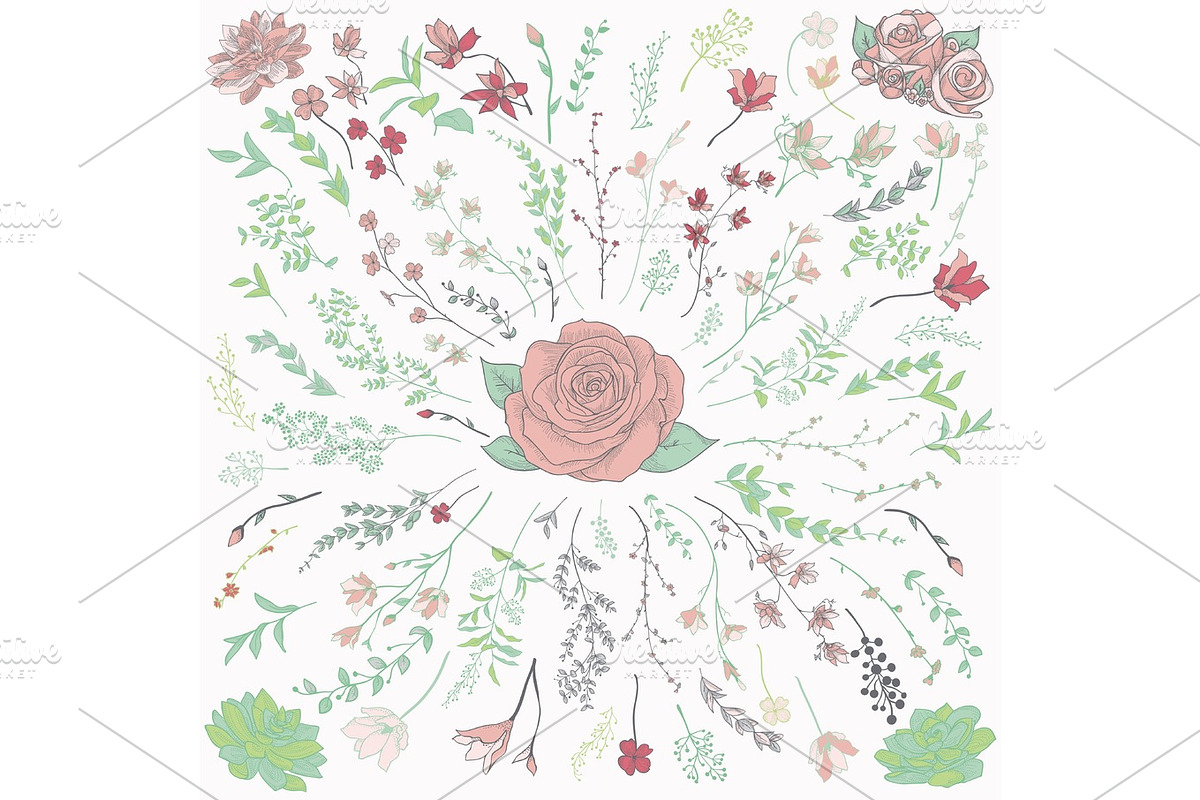 Colorful Drawn Herbs, Plants and Flowers. Vector Illustration in Objects - product preview 8