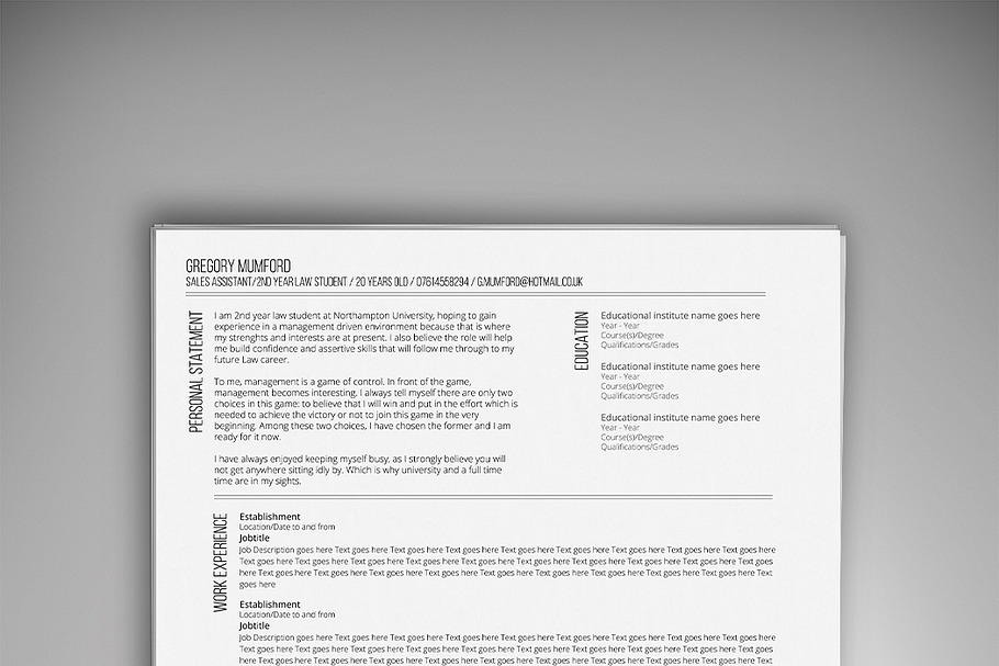 Average Joe in Resume Templates - product preview 8